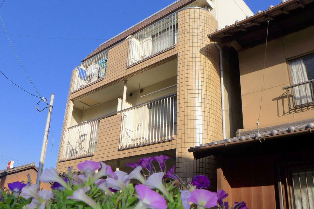 Arrive at the apartment