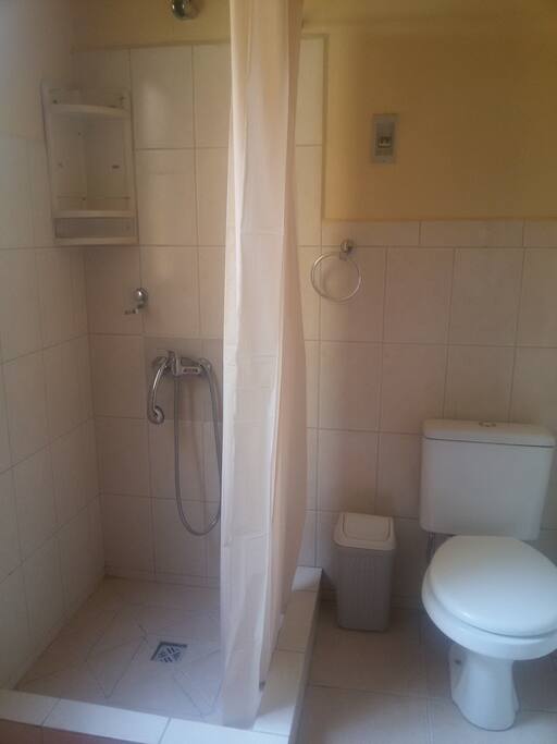 Dormitorio N° 1, baño con ducha, inodoro y lavamanos.