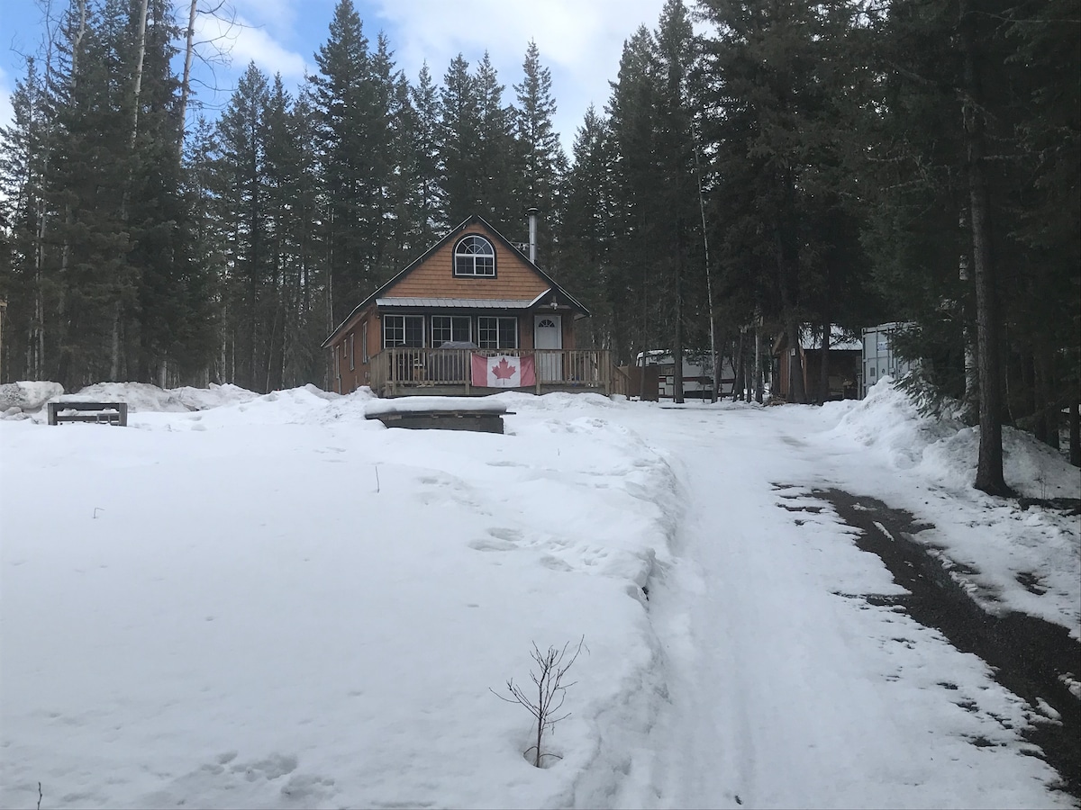 The cabin is set amidst a snowy landscape, surrounded by tall evergreen trees. A welcoming porch with a Canadian flag and a wooden railing is visible in front of the cabin. A driveway leads up from the snow-covered path, showcasing the tranquil winter scene.