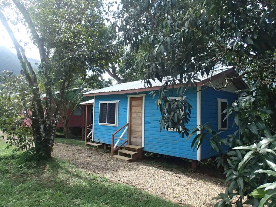 Bunk house set within our jungle landscape
