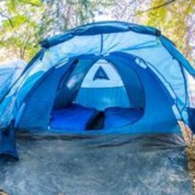 Twin share tent