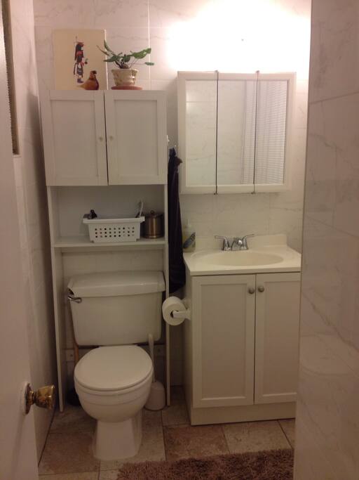 The bathroom, located in the back of the apartment.