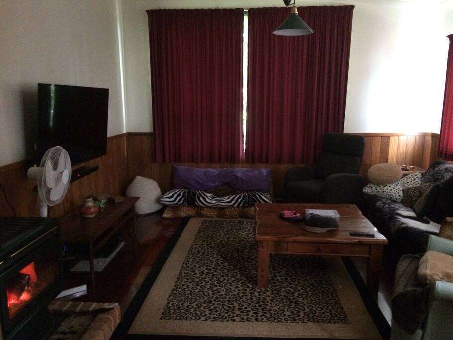 TV area with Sofa Bed