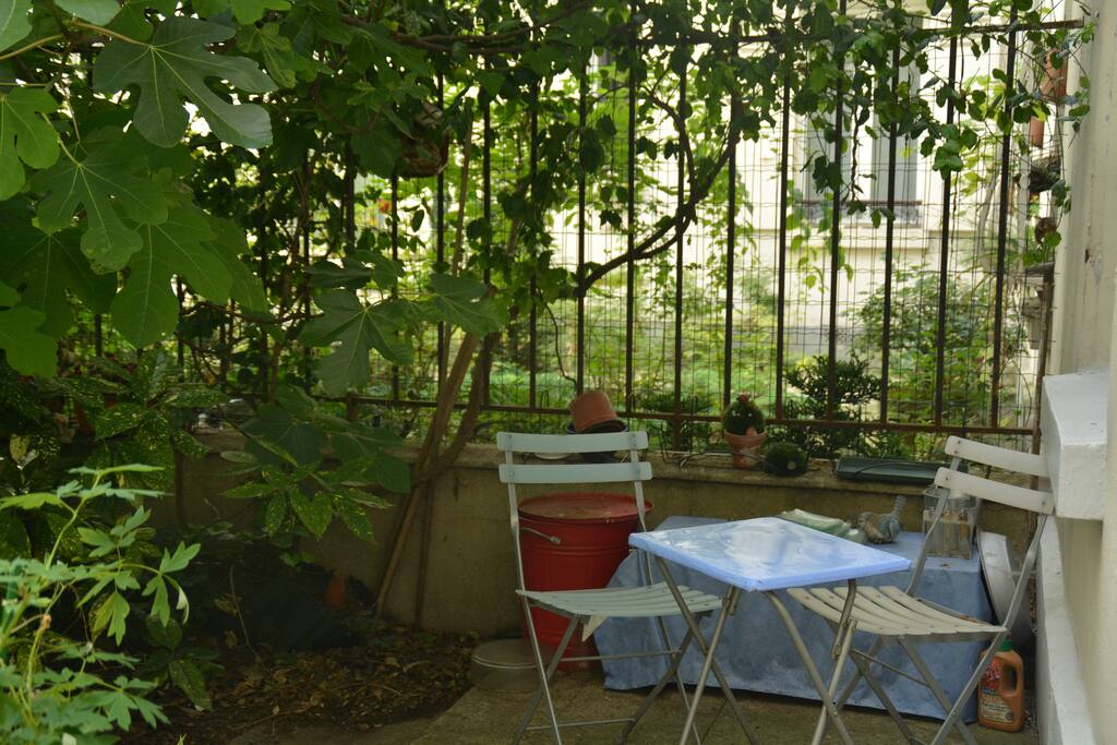 Cour / Courtyard