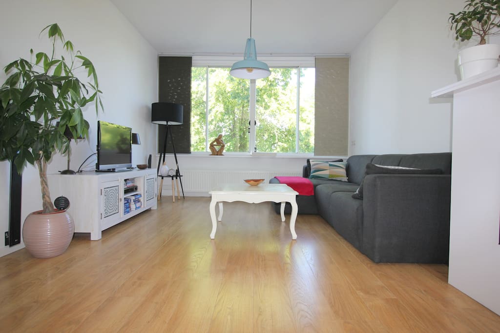 Spacious Living Room