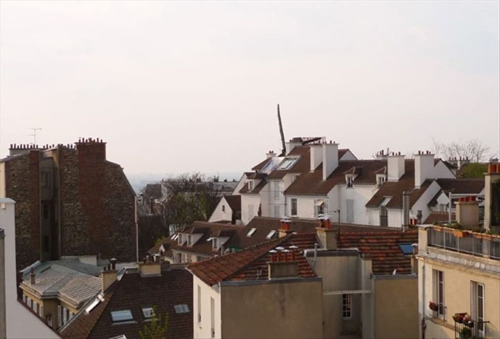 ORCHAMPT - View over Paris Roofs & The Windmill