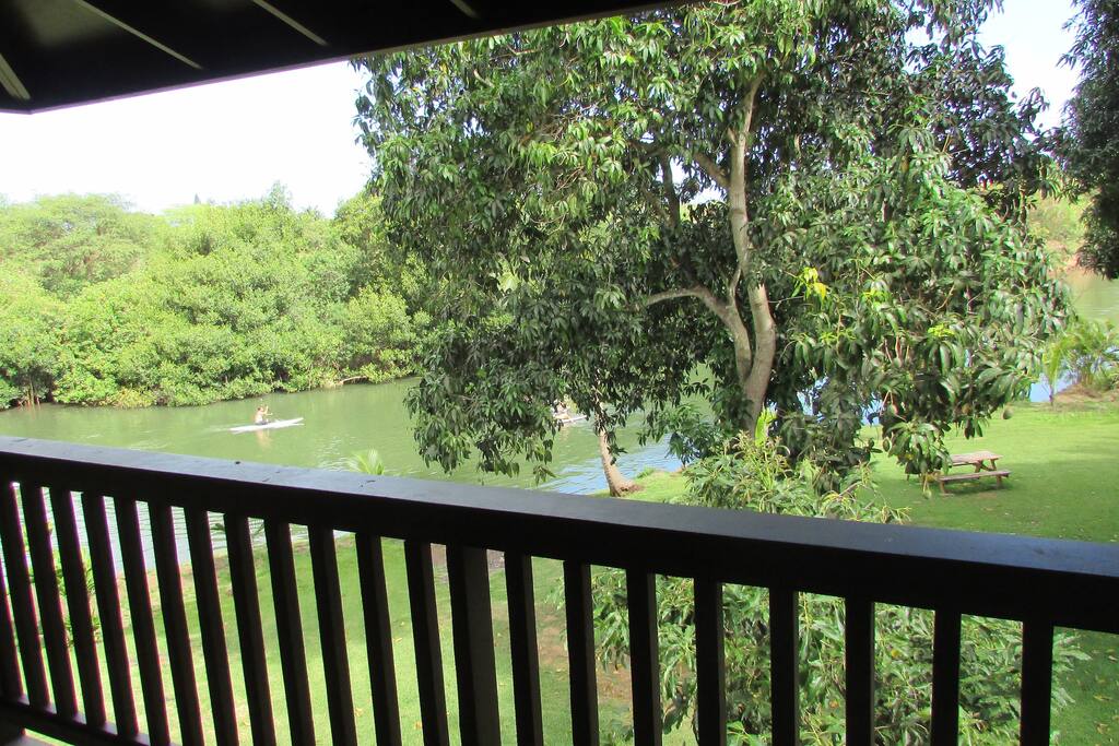 View from the lanai.