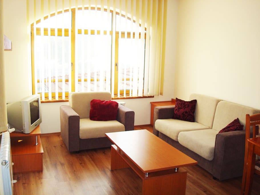 Living room with double sofa bed and single bed chair