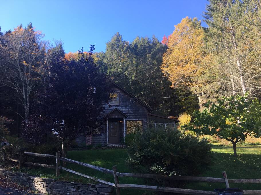 The house in pre-peak Fall colors.