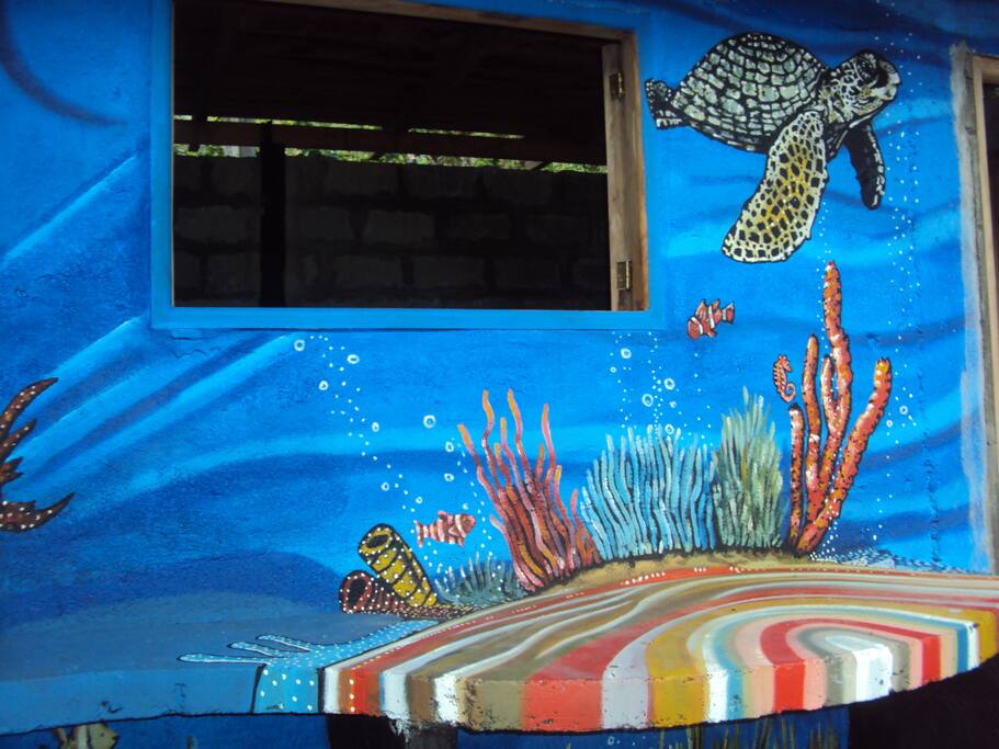 tortuga de la region