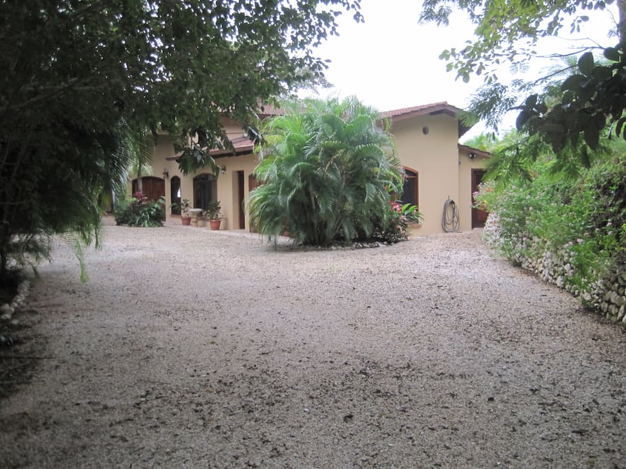 Front Drive