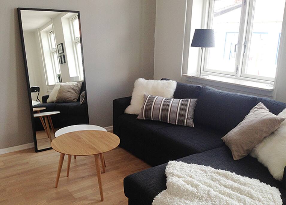 Livingroom and sleeping couch
