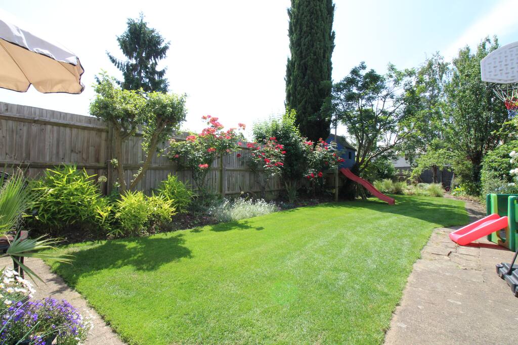 Back Garden