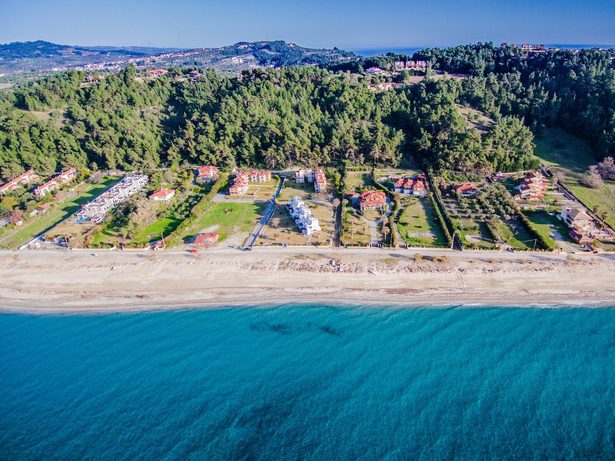 An aerial view showcases a tranquil beachside area lined with green trees and sandy shores. Brightly colored villas are nestled among the greenery, while the clear blue sea gently laps at the shoreline, creating a serene coastal atmosphere.