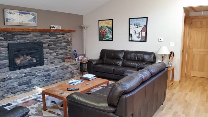 chumba kizuri chenye mandhari ya skii kwenye ghorofa kuu kilicho na makochi mapya ya ngozi na zulia