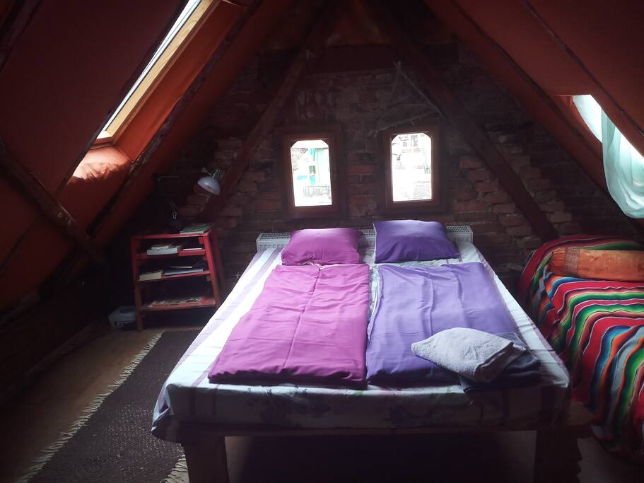 Here is where you can rest in the nest.