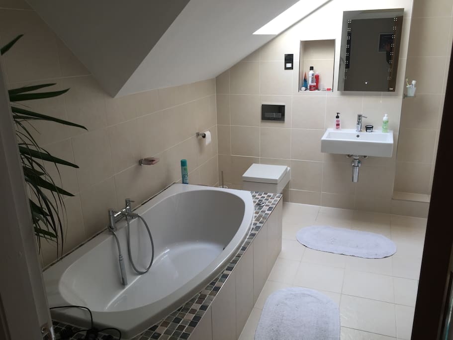 Luxury bathroom
