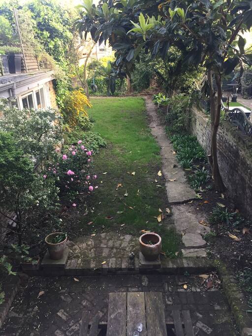 The garden from the bedroom window