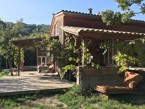 The house on the hill