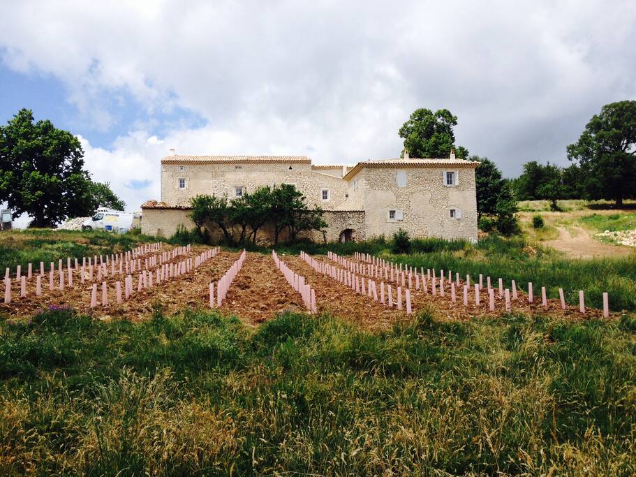 Maison vue de devant