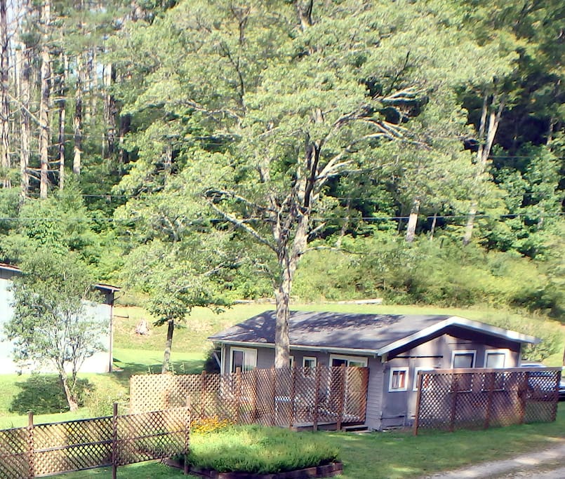House with Shade Tree