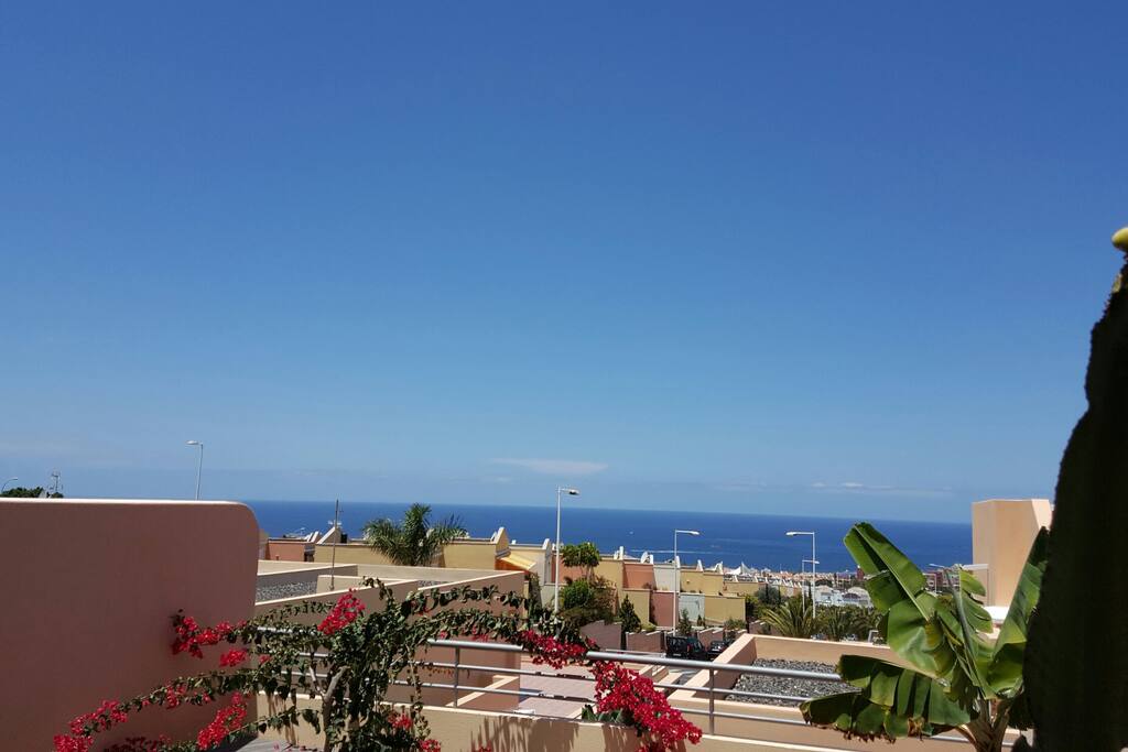 Terrace view