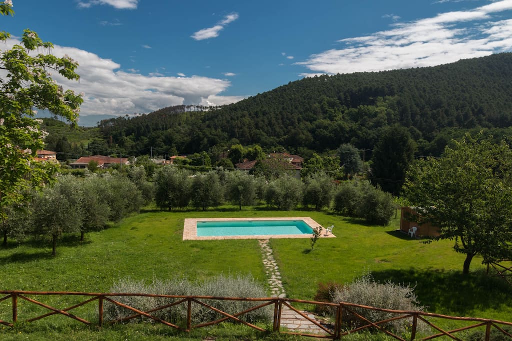 10x5m pool in a great setting, framed by olive trees in 2,000sqm garden