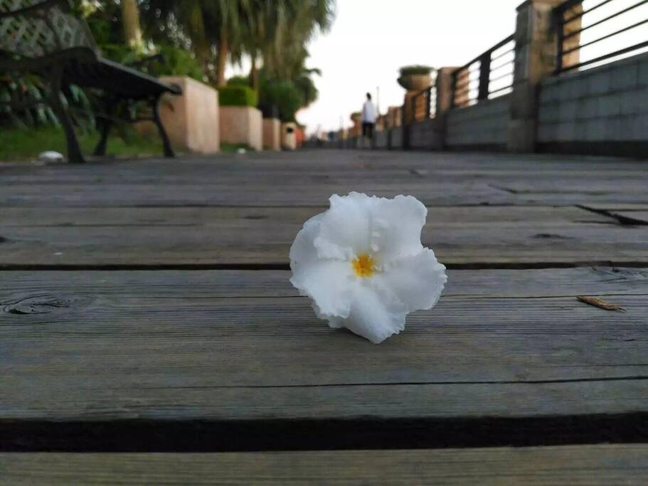 自然舒适