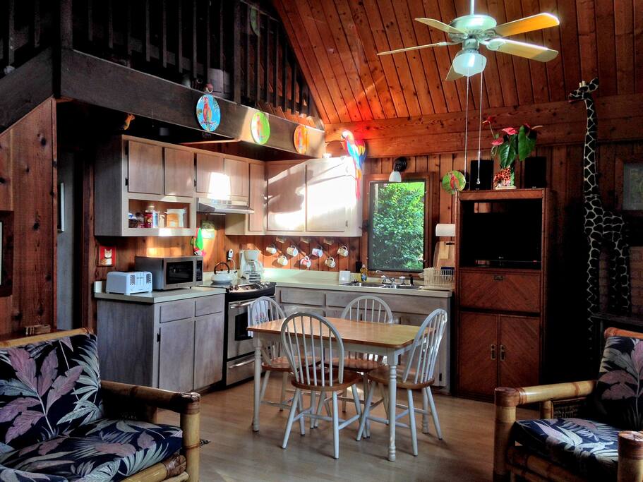 Oma's is a small place. When you walk in the front door you are in the living room, and looking over at the kitchen and dining areas. The maximum capacity is 4 adults and 2 children. There are two stools that can be added around the dining table.