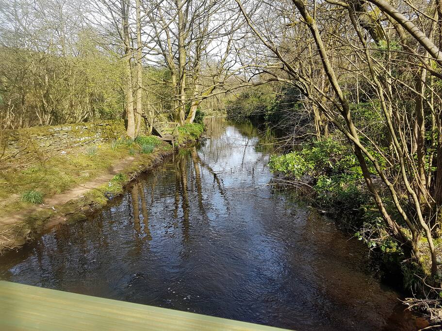 River Colne from the Riverside Decking