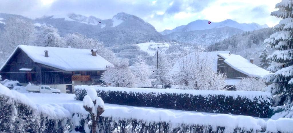 A winter landscape is captured, revealing snow-covered rooftops and trees. Charming wooden chalets are visible in the background, surrounded by a blanket of white. The scene is framed by an evergreen hedge, enhancing the serene atmosphere of the snowy setting.