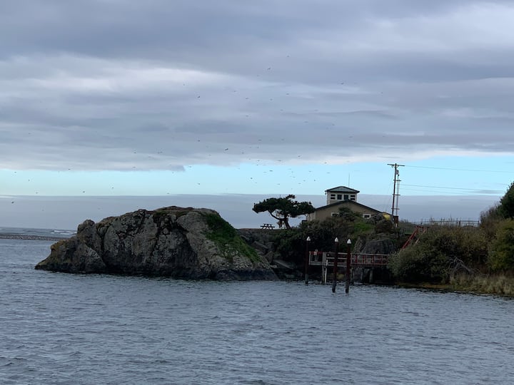 Stunning Rogue River Views 3 Apartments for Rent in Gold Beach
