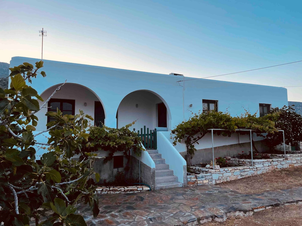 A charming white house features curved arches and a stone pathway leading to the entrance. Green vines line the walls, surrounding the windows. The area is bordered by a stone wall, enhancing the tranquil outdoor setting.