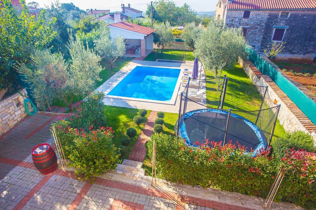 Garden and pool