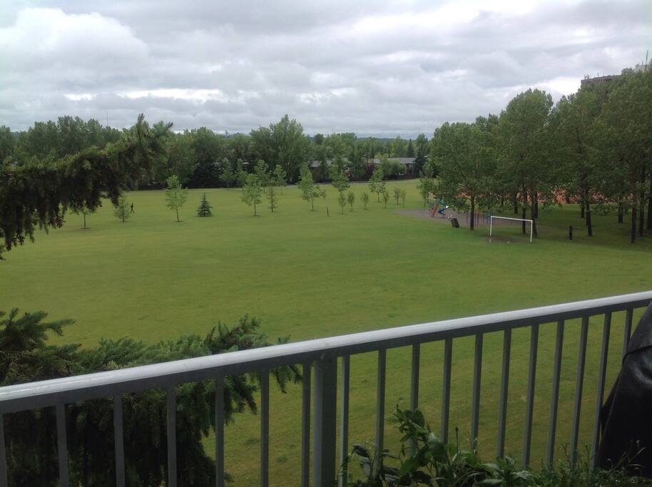 Balcony View