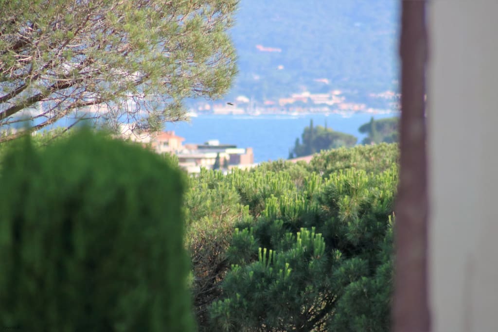 View to the sea
