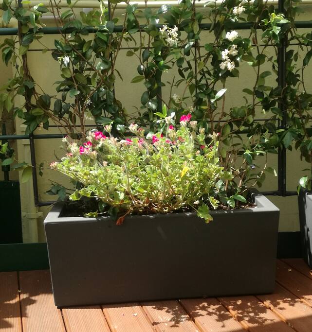 Casetta Rosina in giardino