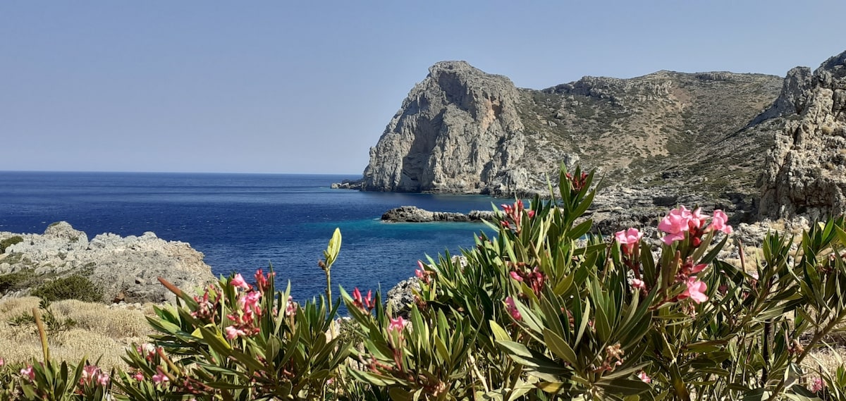 A scenic coastline is visible, featuring rocky cliffs that rise dramatically above the clear blue waters. Pink flowering plants are in the foreground, adding a touch of color to the natural landscape. The serene bay is bordered by rugged terrain under a clear sky.