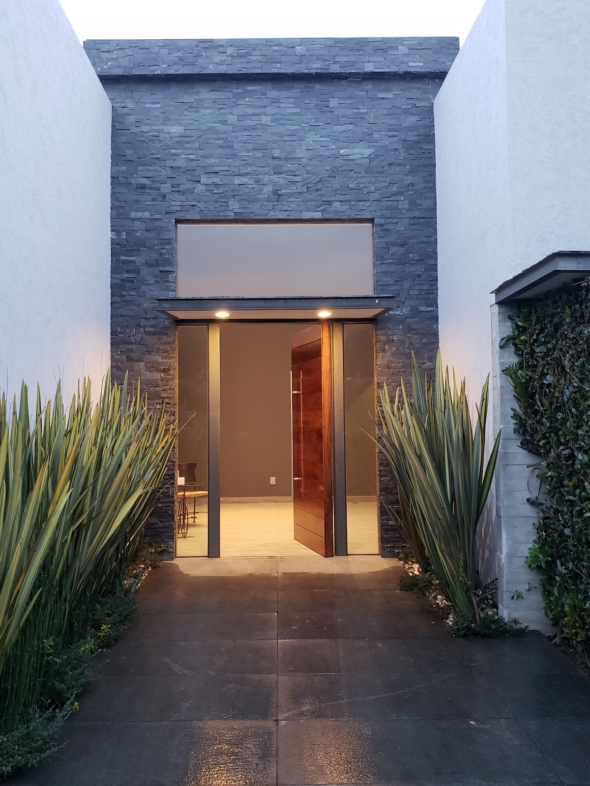 The entrance is framed by tall, green plants and a stone pathway. A large wooden door stands open, inviting guests into the interior. Soft lighting highlights the entrance, creating a welcoming ambiance. The sleek, modern architecture is enhanced by textured stone walls.