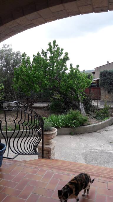 Vue sur jardin depuis la terrasse