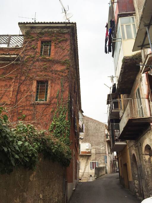 Look for the orange vine covered building, that's us!