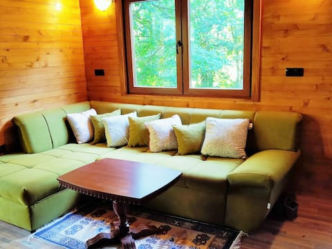 Top Airbnb: Wooden house, Pool, patio near National park Una in Općina Donji Lapac