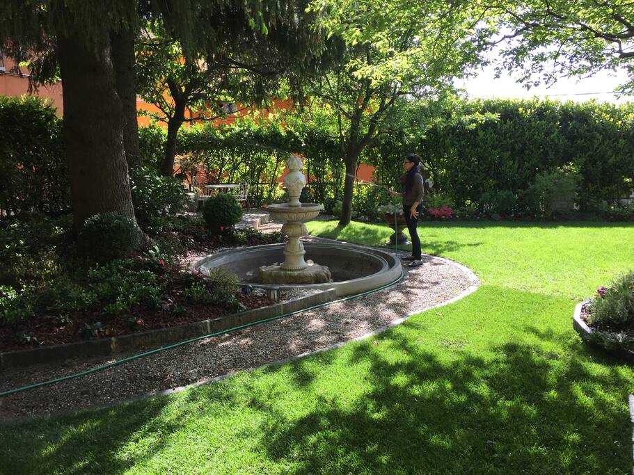 The garden