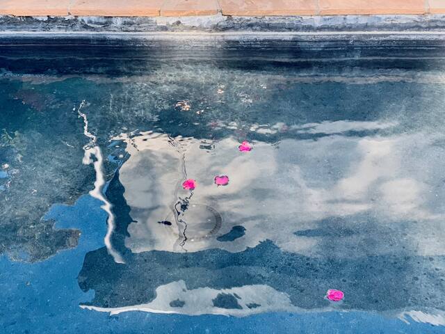 Mid-Century Modern Dream near the Beach gallery image 4