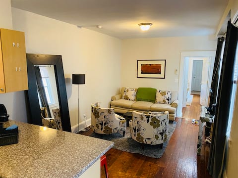 Successful Airbnb property: Patterson Park Apt; Walk to Hopkins, Bars, Cafes in Upper Fells Point