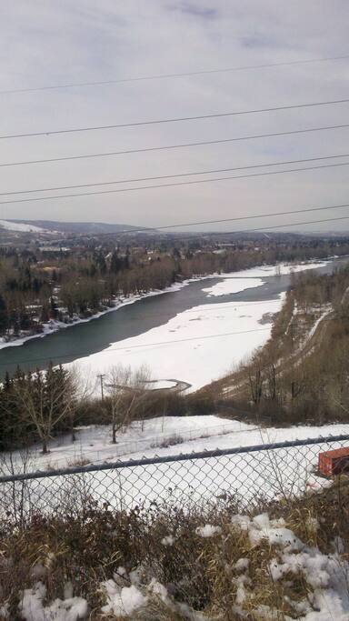 The view of the park behind my house.