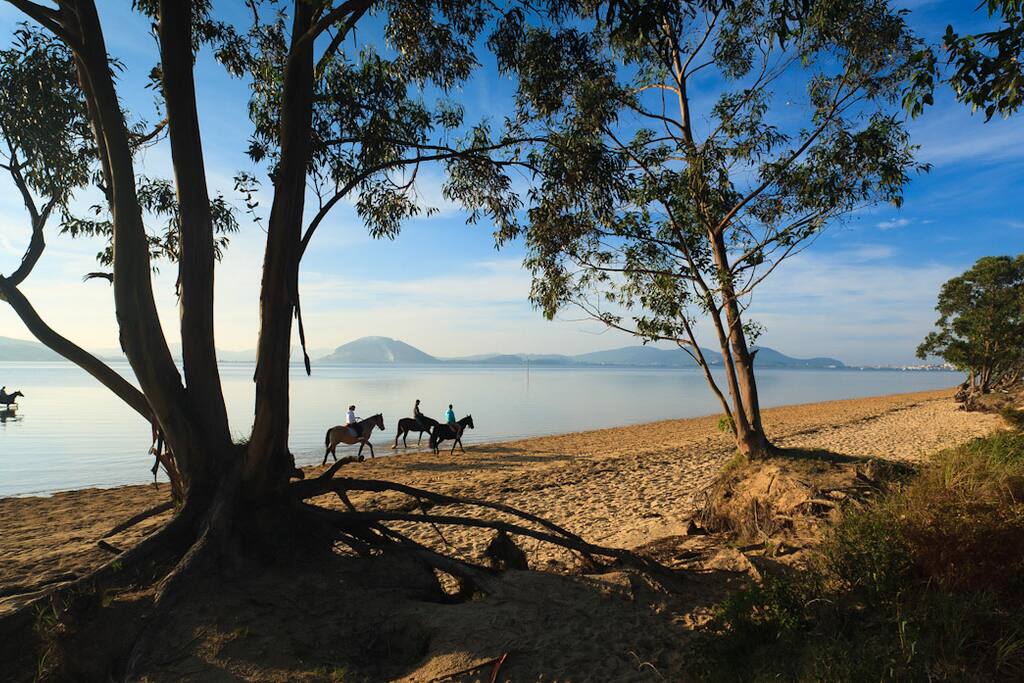 3. Playa del Regatón.jpg