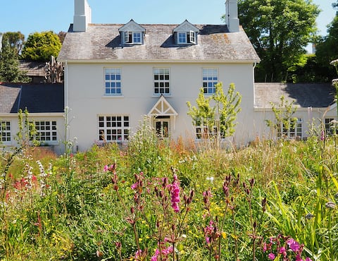 Successful Airbnb property: Luxury self-catering getaway in Salcombe in Salcombe