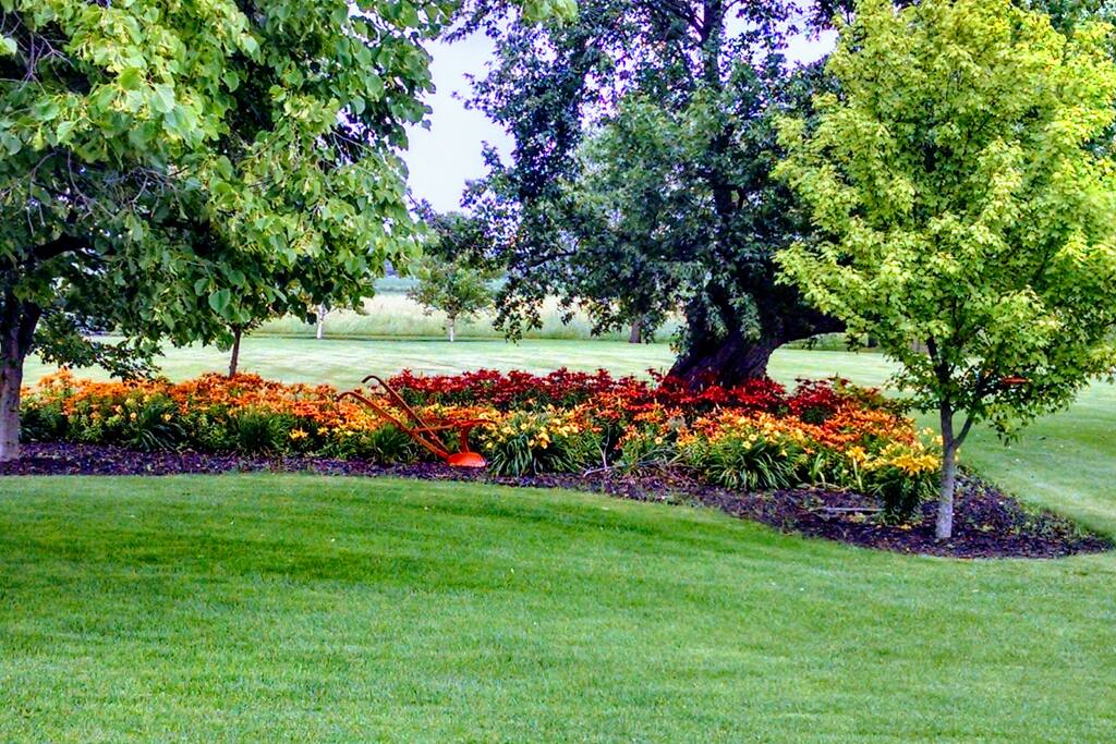 Springtime flowers
