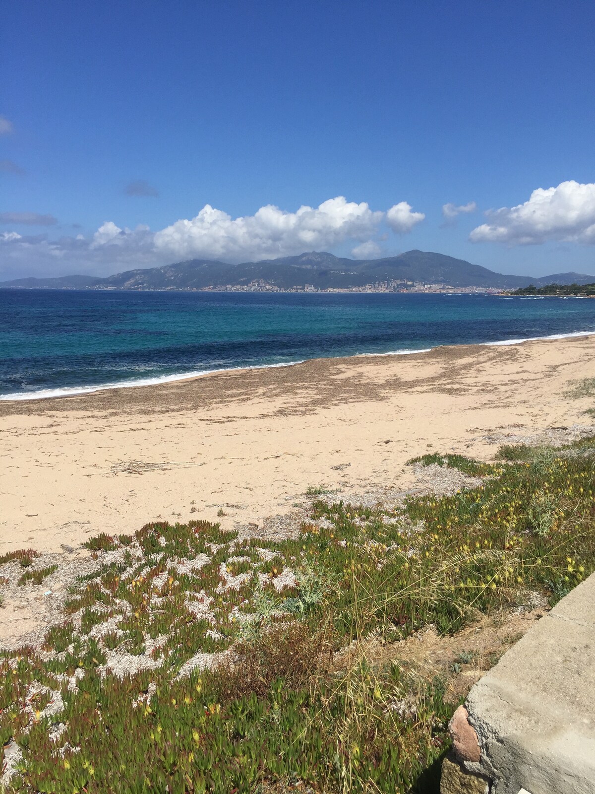 A sandy beach area is observed, with gentle waves lapping at the shore. The expanse of azure water meets a backdrop of mountains, partially covered by clouds. Coastal vegetation with colorful flowers adds a natural element to the sandy foreground.